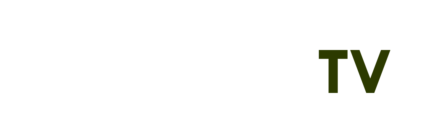 trực tiếp bóng đá hd
